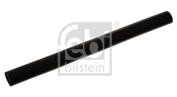 Hose, crankcase ventilation